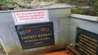 Rizede şifalı diye içilen su zehir çıktı