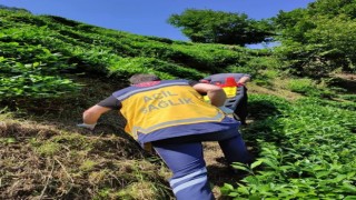 Rizede yamaçtaki çay bahçesinden yuvarlanan şahıs sedye ile 400 metre taşınarak hastaneye sevk edildi