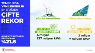 Rüzgar ve güneşten üretilen elektrik miktarında rekor: Toplam üretimin yüzde 21,6sını oluşturdu