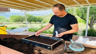 Safranbolu Belediyesi serasında kış hazırlığı