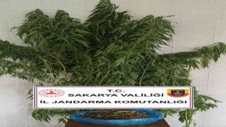 Sakaryada jandarma suça geçit vermiyor