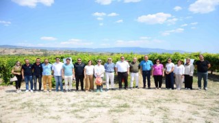 Salkım güvesiyle mücadele tarla gününde anlatıldı