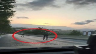 Samsunda patenli gençlerin tehlikeli yolculuğu