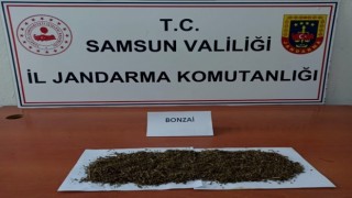 Samsunda uyuşturucu ve kaçakçılık operasyonları: 28 gözaltı