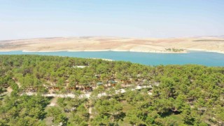 Şanlıurfa doğunun Akdenizi olma yolunda ilerliyor