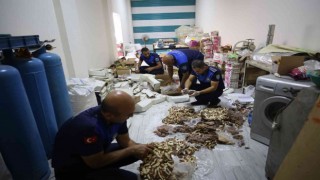 Şanlıurfada gıda depolarına operasyon düzenlendi