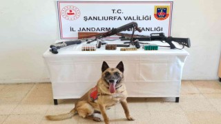 Şanlıurfada silah ve mühimmatı ele geçirildi