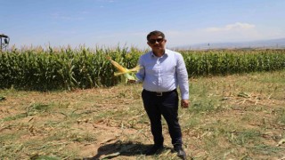 Şehzadelerde tarıma kazandırılan atıl arazide ilk hasat yapıldı