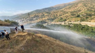 Şemdinlideki örtü yangınına TOMAlarla müdahale