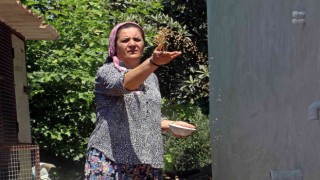 Seradan stüdyolara