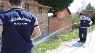 Serdivanda ilaçlama çalışmaları devam ediyor