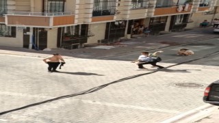 Sevgilisi ile ayrı eve çıkmak isteyen şahsa, sevgilisinin ailesi kaldırım taşı ile saldırdı