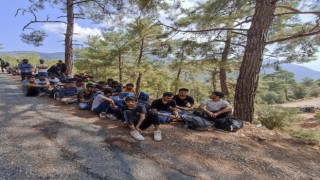 Seydikemerde ormanlık alanda 89 düzensiz göçmen yakalandı