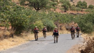 Siirtte jandarma, fıstık hırsızlığına karşı bağ ve bahçelerde kuş uçurtmuyor