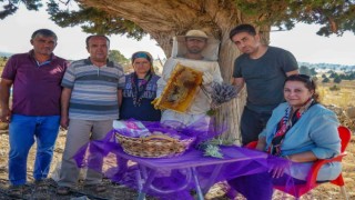Silifkede lavanta balı üretimi yapıldı