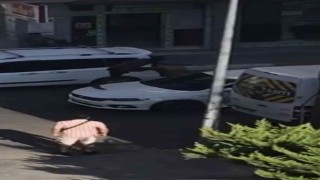 Sinir krizi geçirdi ortalığı birbirine kattı