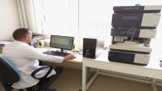 Sinopta bal analizi hizmeti başladı