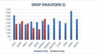 Sinopta dış ticaret yüzde 10 büyüdü