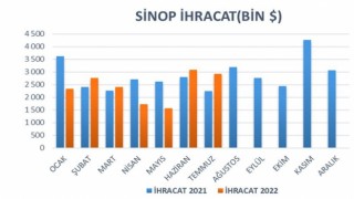 Sinopta temmuz ayında ihracat yüzde 31 arttı