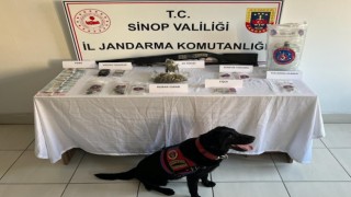 Sinopta uyuşturucu operasyonunda 1 kişi yakalandı