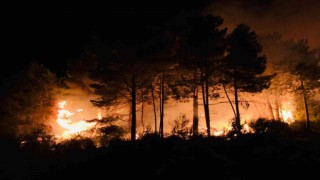 Sinopun Gerze ilçesinde çıkan orman yangını korkuttu