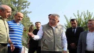 Şırnakta 5 yılda 249 tür yaban hayvanı tedavi edildi
