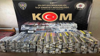 Şırnakta kaçakçılık ve asayiş operasyonu: 30 gözaltı