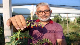 Sivasta ilk kez denedi, umutları büyüktü ama kuşları hesap edemedi
