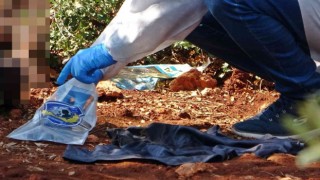 Son mesajı, ‘arama, sorma olan 23 yaşındaki oğlunun cansız bedenini buldu