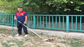 Su kanalına düşen yavru köpeği itfaiye kurtardı