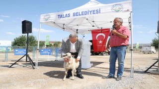 Talasın tarım ve hayvancılığa desteği sürüyor