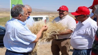Talasta hasat vakti