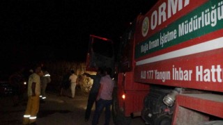 Tarım arazisinde çıkan yangın büyümeden söndürüldü