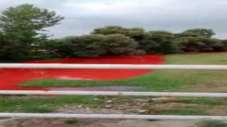 Tarım ilacı karışan derenin rengi kırmızıya döndü
