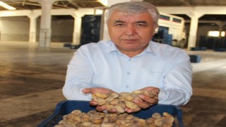 TARİŞ kuru incir fiyatları belli oldu