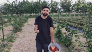 Tarladan halka ‘organik hizmet ‘