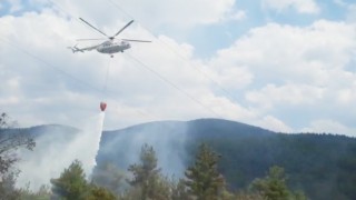 Tavşanlıda orman yangını helikopter desteği ile kısa sürede söndürüldü