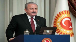 TBMM Başkanı Şentop: “Türkiyenin benimsediği diplomasi anlayışı, insanlığın ihtiyaç duyduğu yegane ve zaruri barış yoludur”
