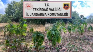 Tekirdağda uyuşturucu operasyonu: 1i Gürcistan uyruklu 4 kişi tutuklandı