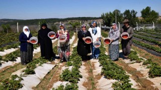 Tepebaşı destekliyor, kadın üreticiler kazanıyor