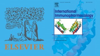 Türk üniversitesinden tıp dünyasına katkı