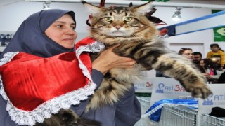 Türkiyenin en büyük pet fuarı Eylülde Ankarada başlayacak