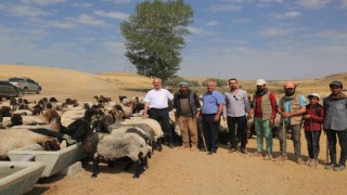 Tuşba Belediyesinden kırsal mahallelere sıvat desteği
