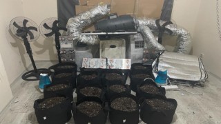 Tuzlada uyuşturucu madde ticareti ve yetiştiriciliği yapan adrese baskın