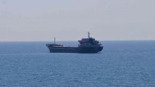 Ukraynadan 3 bin ton ayçiçeği taşıyan gemi Tekirdağa yanaştı