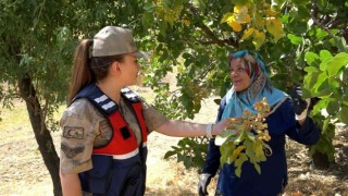 Ülke ekonomine getirisi 5 milyar TL, jandarma hırsızlara karşı nöbet tutuyor