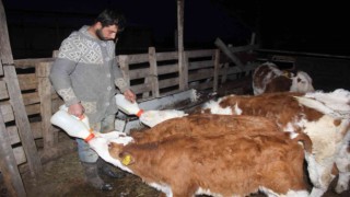 Üniversiteyi bitirip çiftçilik yaparak kendi işinin patronu oldu