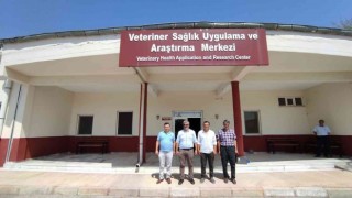 Uşak Belediyesinden sokak hayvanları için önemli iş birliği