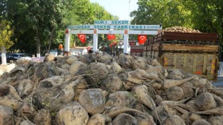 Uşakta lokantacı, pastacı ve tatlıcı esnafında şeker tedarik sıkıntısı