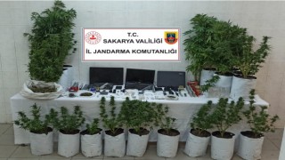 Uyuşturucu tacirlerine jandarma operasyonu: 1 gözaltı
